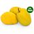 Fresh Alphonso Mango with vibrant color and soft, golden flesh – the king of mangoes