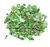 Fresh Amaranth (Chawli) Leaves - 400g -small