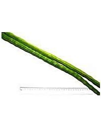 Frische Keule, 500 g (ca.)