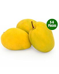 Mango Alphonso Premium - Le Roi des Mangues, (5 à 6 pièces) 