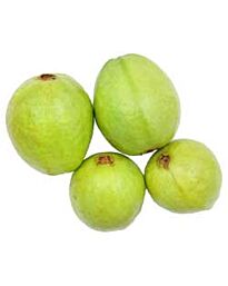 Goyave fraîche (Amrood), 500 g (environ)