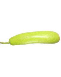 Fresh Bottle Gourd (lauki), 800g approx