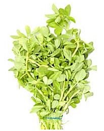 Fresh Methi (Fenugreek) Leaves, 300gm (approx)