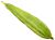 Shop Fresh Turai (Ridge Gourd), 500g (approx) online – with Ekirana for Just €4.99 /