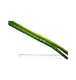 Shop Fresh Drumstick, 500g (approx.) online – with Ekirana for Just €6.99 /