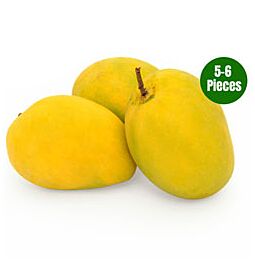 Shop Premium Alphonso Mango - De Koning van Mango's, (5 to 6 pcs) online – met Ekirana voor alleen maar € 16,99 /