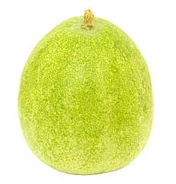 Shop Verse Waspompoen, ongeveer 1,3-1,8 kg online – met Ekirana voor alleen maar € 15,85 /