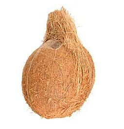Achetez Noix de coco fraîche avec coquille et eau en ligne – avec Ekirana pour juste 5,50 € /