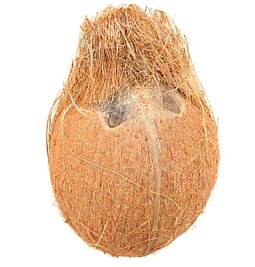 Shop Fresh Coconut with Husk and water online – with Ekirana for Just €5.50 /
